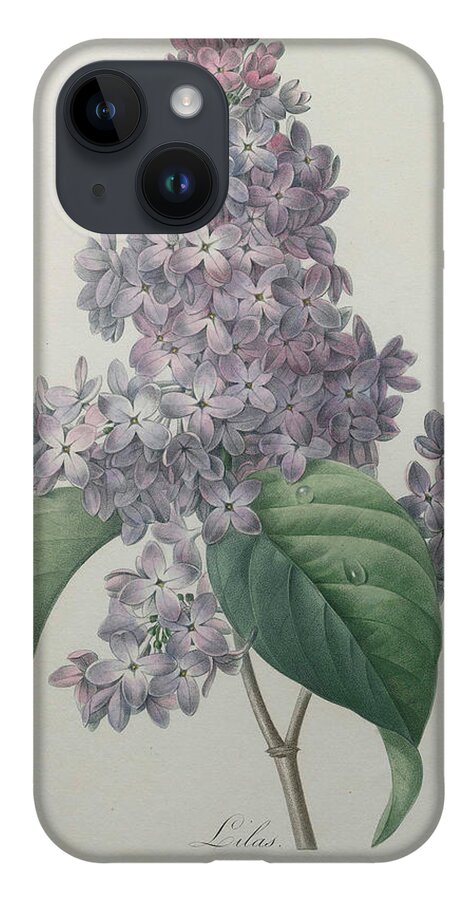 Redoute iPhone 14 Case featuring the painting Lilacs by Pierre-Joseph Redoute