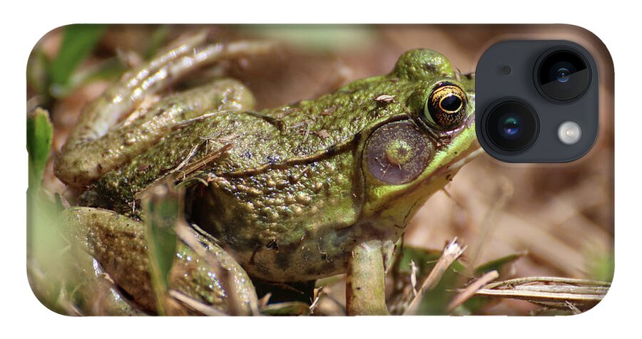 Frog iPhone Case featuring the photograph Little Green Frog by William Selander