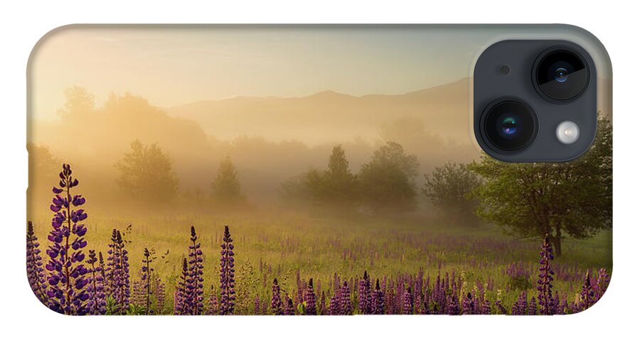 Amazing New England Artworks iPhone 14 Case featuring the photograph Lupine In The Fog, Sugar Hill, NH by Jeff Sinon