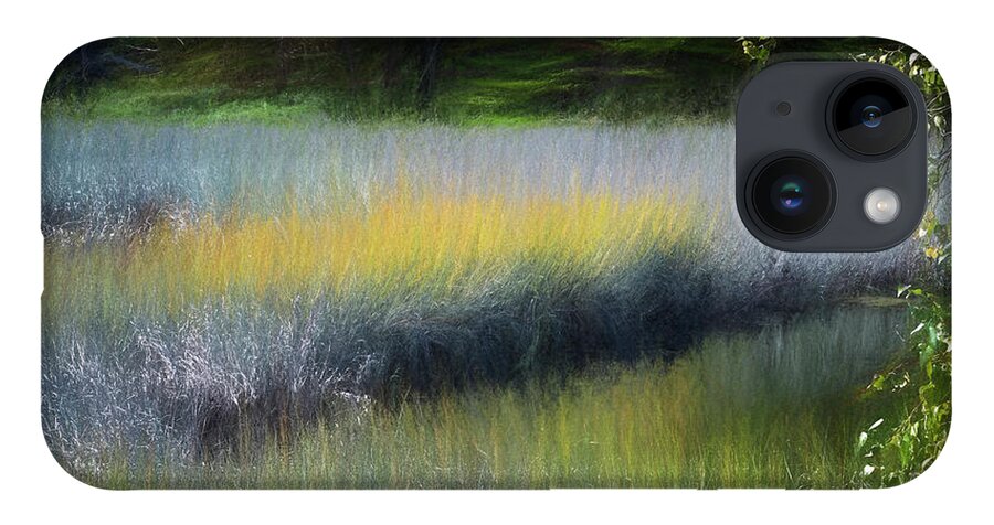 South Freeport Harbor Maine iPhone 14 Case featuring the photograph Maine Marsh by Tom Singleton