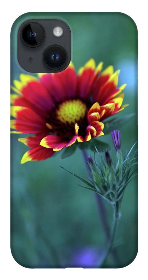 Indian Blanket Flower iPhone 14 Case featuring the photograph Firewheel by Jessica Jenney
