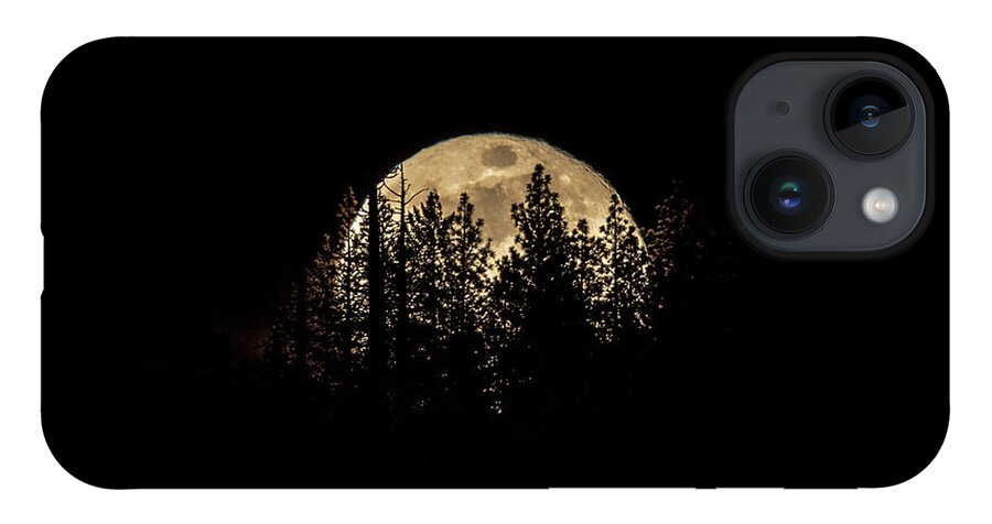 Moon iPhone Case featuring the photograph Moon and Pines by Randy Robbins