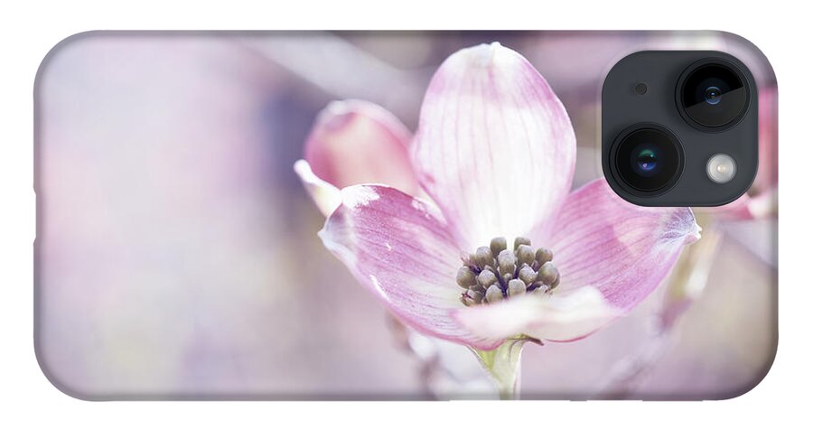 Pink Dogwood Flower iPhone 14 Case featuring the photograph Morning Dogwood by Michelle Wermuth