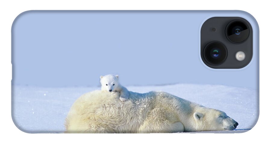 Bear Cub iPhone 14 Case featuring the photograph Mother Polar Bear With Cub, Lying On by Art Wolfe