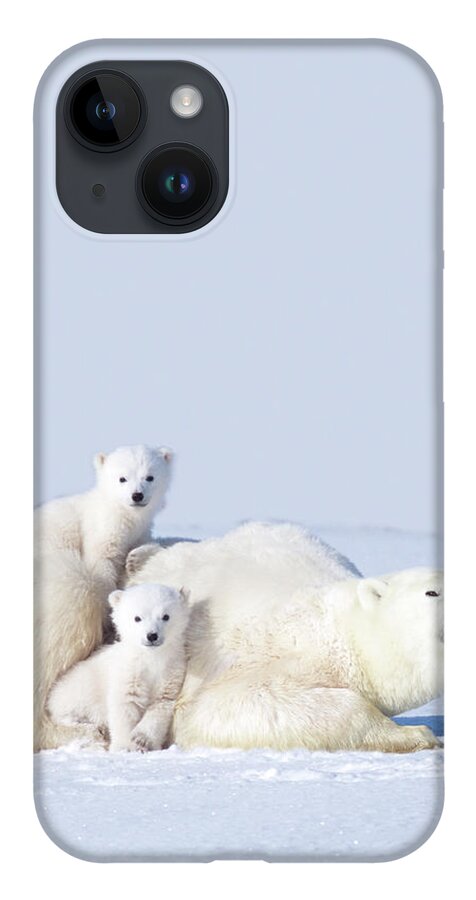 Bear Cub iPhone Case featuring the photograph Mother Polar Bear With Cubs, Canada by Art Wolfe