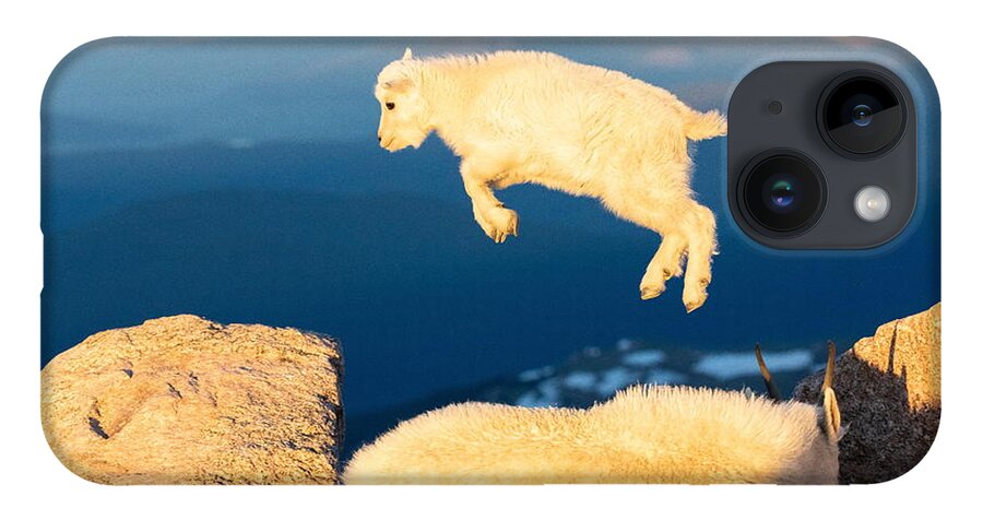 Mountain Goat iPhone 14 Case featuring the photograph Mountain Goat Kid Tries to Fly by Tony Hake