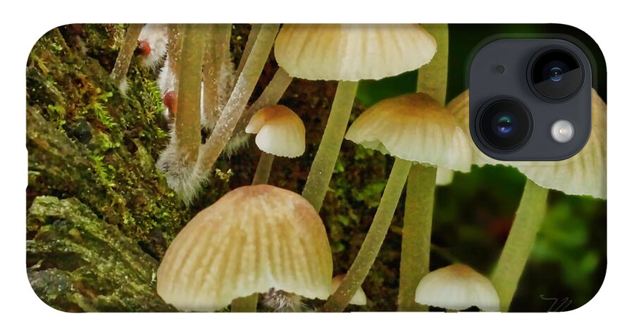 Macro Photography iPhone 14 Case featuring the photograph Mushrooms by Meta Gatschenberger