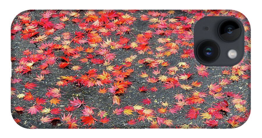 Autumn iPhone 14 Case featuring the photograph Nature's Confetti by Linda Stern
