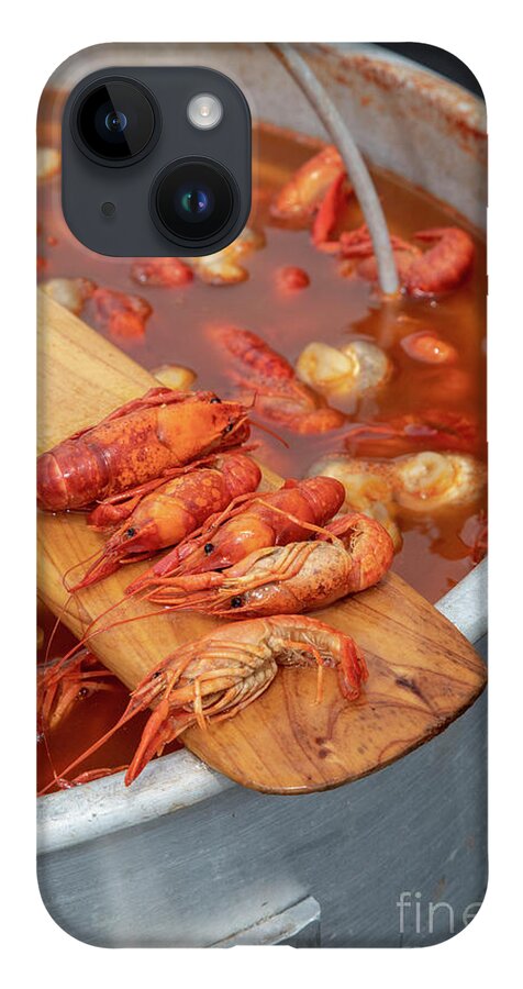 Nobody iPhone Case featuring the photograph New Orleans Crawfish Mambo by Jim West/science Photo Library
