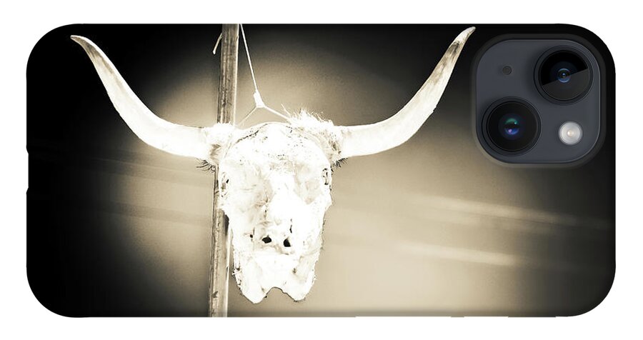 Cow Skull Photo iPhone Case featuring the photograph No Parking by Sandra Dalton