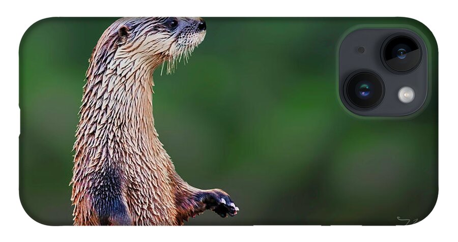 Otter iPhone Case featuring the photograph Norman the Otter by Meta Gatschenberger