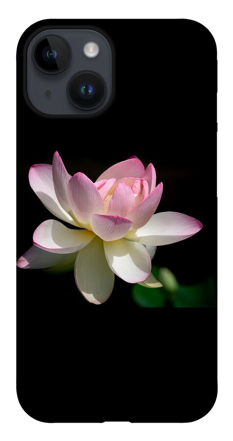 Lotus iPhone 14 Case featuring the photograph Not Your Average Waterlily by Linda Bonaccorsi