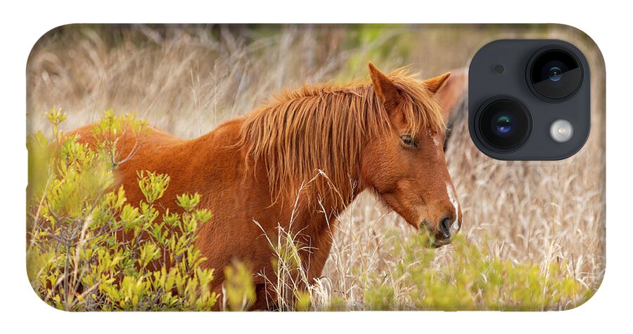 2019 iPhone 14 Case featuring the photograph OBX Mare by Donna Twiford