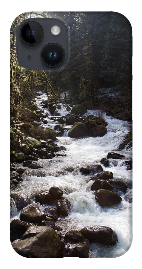 Oneonta Creek iPhone 14 Case featuring the photograph Oneonta Creek by Dylan Punke