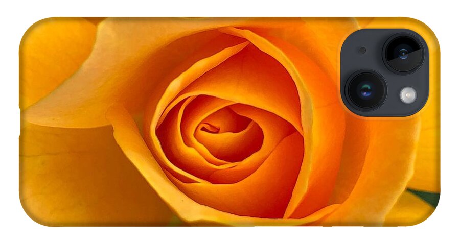 Flower iPhone Case featuring the photograph Orange Rose by Anamar Pictures