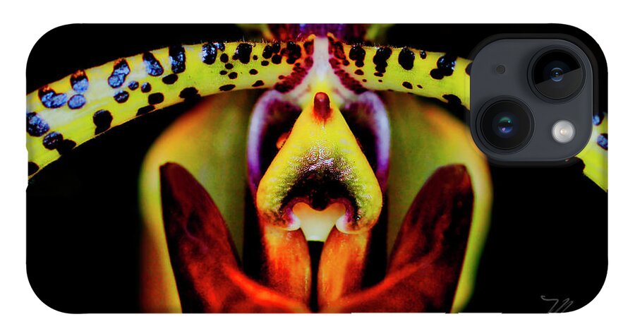 Orchid iPhone Case featuring the photograph Orchid Study Six by Meta Gatschenberger
