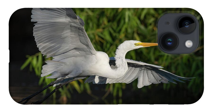 Great Egret iPhone 14 Case featuring the photograph Out of The Shadows. by Paul Martin