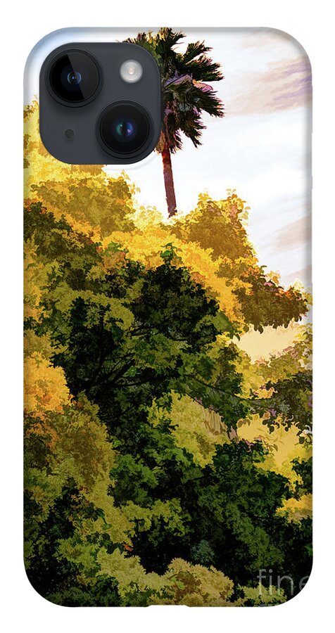 Art iPhone Case featuring the photograph Palm above the Trees by Roslyn Wilkins