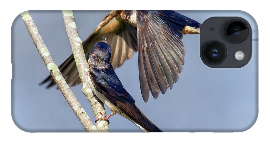 Swallow iPhone 14 Case featuring the photograph Passing Argument by Art Cole