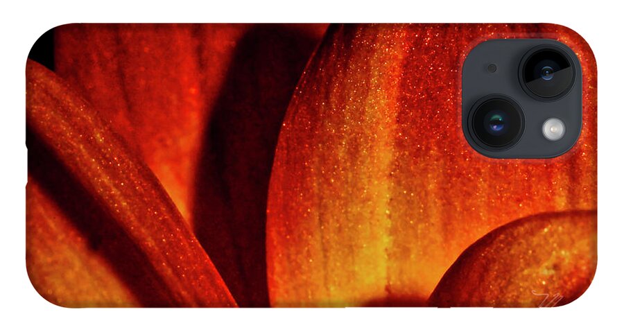 Macro Photography iPhone Case featuring the photograph Peach Petals by Meta Gatschenberger
