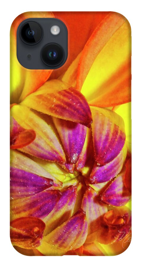 Macro Photography iPhone 14 Case featuring the photograph Peach Purple Flower by Meta Gatschenberger