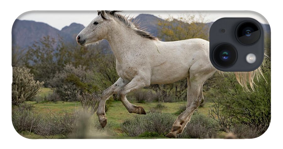 Stallion iPhone 14 Case featuring the photograph Pegasus. by Paul Martin