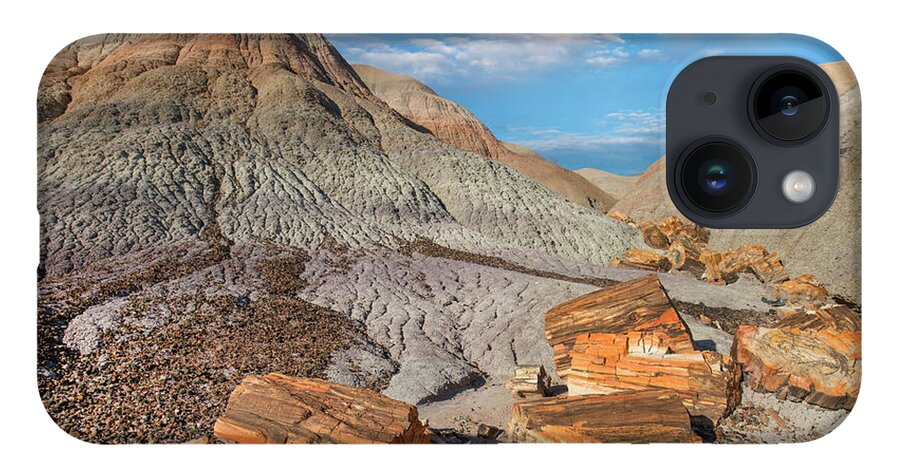 00563962 iPhone 14 Case featuring the photograph Petrified Logs, Blue Mesa, Petrified Forest National Park, Arizona by Tim Fitzharris