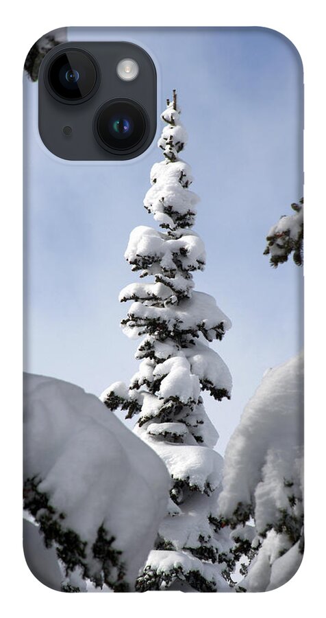 Snow iPhone Case featuring the photograph Pine Framed in Powder by Brett Pelletier