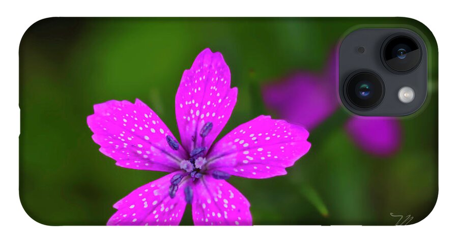Macro Photography iPhone Case featuring the photograph Pink Flower by Meta Gatschenberger