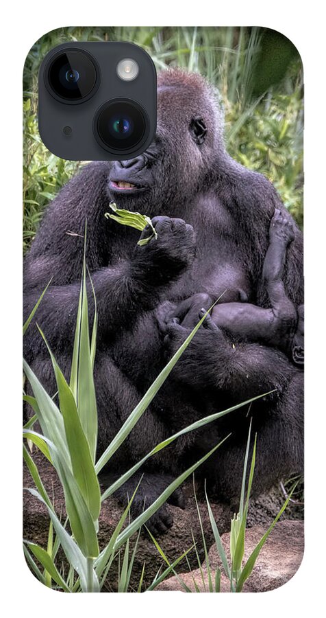 Mammals iPhone 14 Case featuring the photograph Proud Mama Silverback 6243 by Donald Brown
