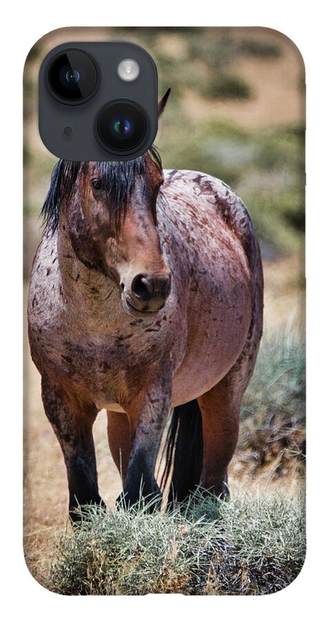 Horse iPhone 14 Case featuring the photograph Red Roan Alerted by American Landscapes