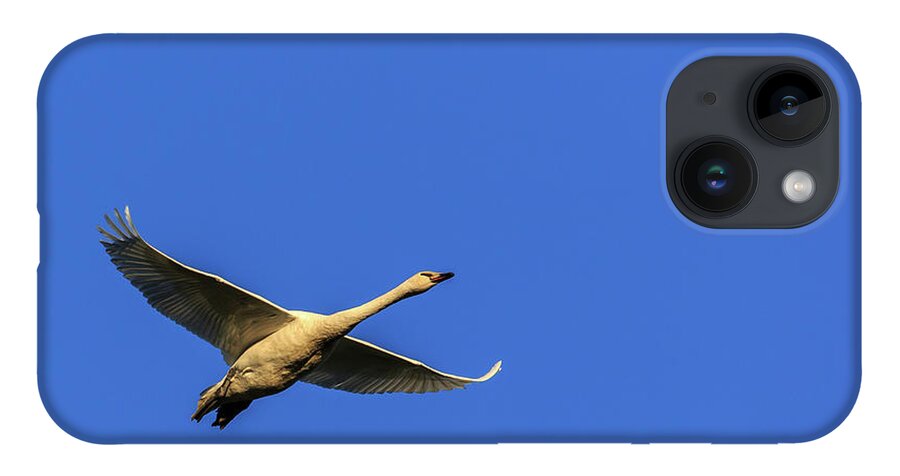 Skagit Valley iPhone 14 Case featuring the photograph Requesting Permission to Land by Briand Sanderson