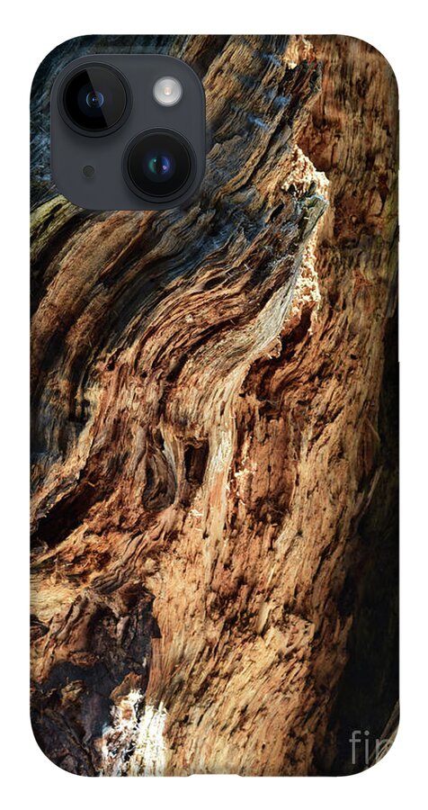 Sequoia iPhone 14 Case featuring the photograph River of Wood by Leslie M Browning