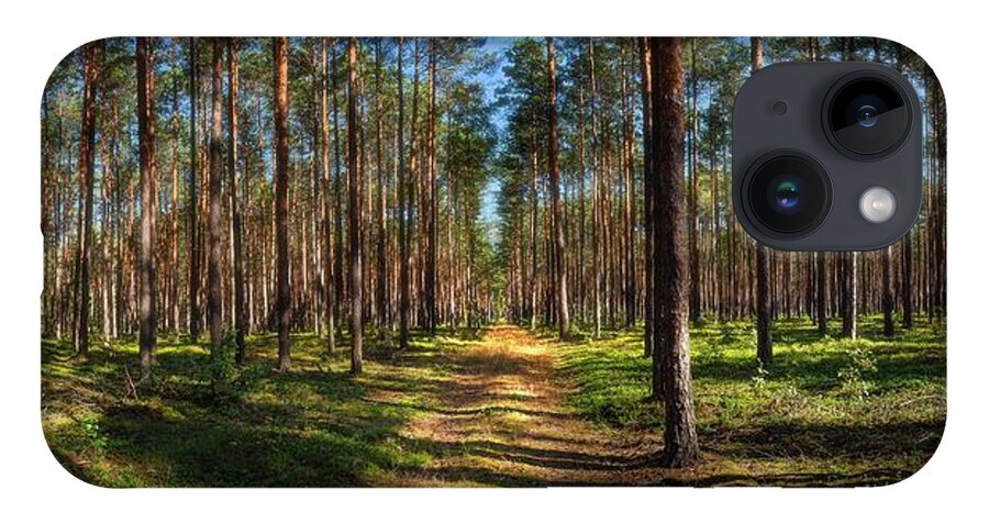 Road iPhone 14 Case featuring the photograph Road Through The Mazovian Woods by Owen Weber