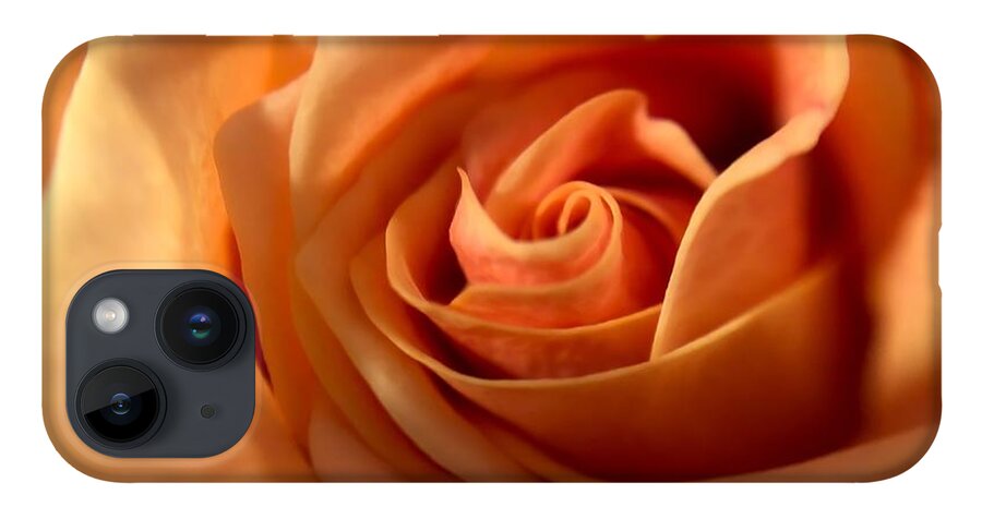 Flower iPhone 14 Case featuring the photograph Melon-colored Rose by Anamar Pictures