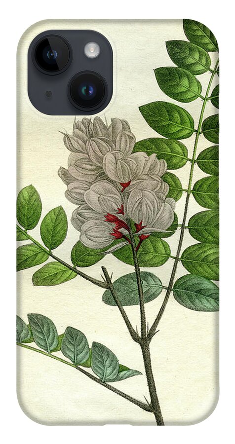 Rose Flowering Locust iPhone Case featuring the mixed media Rose Flowering Locust by Unknown