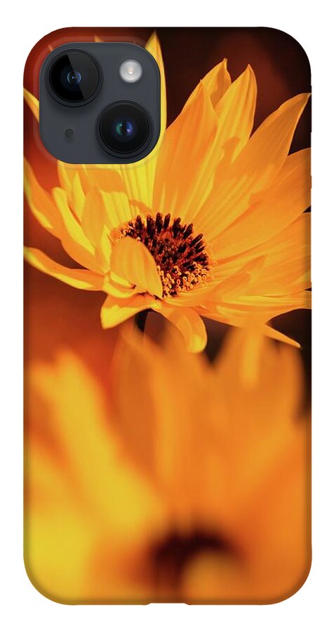 Coneflower iPhone 14 Case featuring the photograph Rudbeckia Grandiflora by Jaroslav Buna