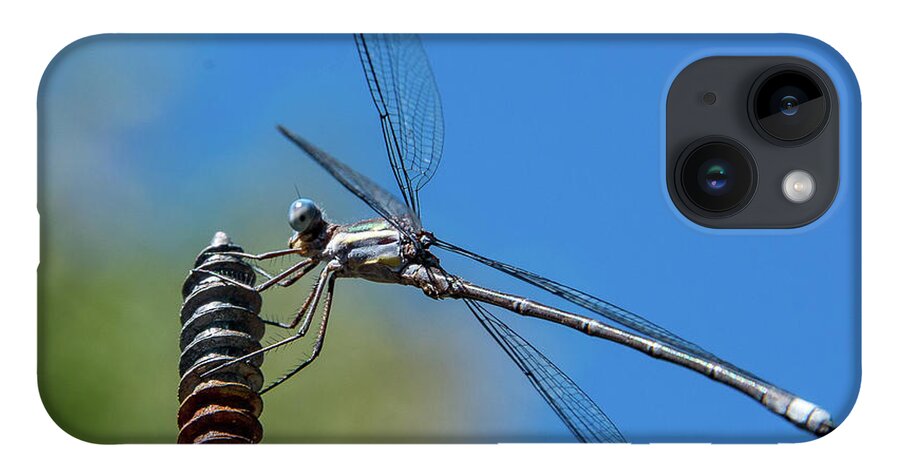 2016 iPhone 14 Case featuring the photograph Screwy Dragonfly by Tim Kathka
