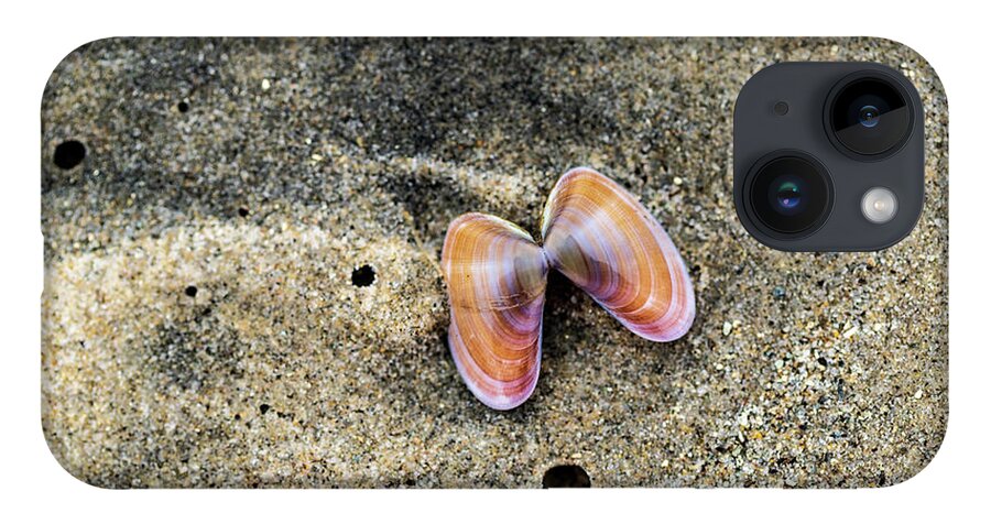 Sea Shell iPhone Case featuring the photograph Landscape Photography - Beaches by Amelia Pearn