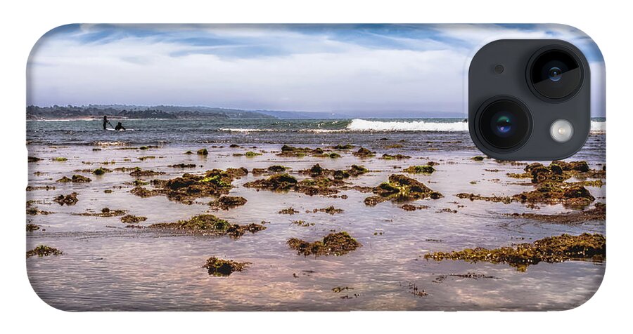 Seaweed iPhone 14 Case featuring the photograph Seaweed at Low Tide by Alison Frank