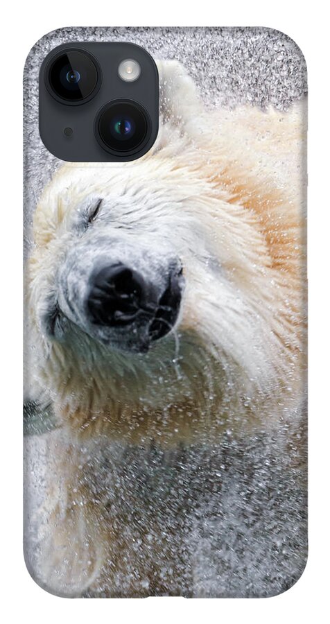 Animal Themes iPhone Case featuring the photograph Shaking Polar Bear by Picture By Tambako The Jaguar