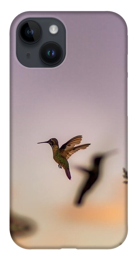 Hummingbird iPhone Case featuring the photograph Shift Change by Peter Hull