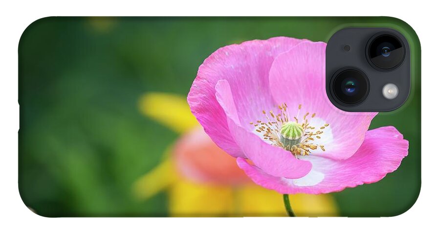 Shirley Poppy iPhone 14 Case featuring the photograph Shirley Poppy 2019-6 by Thomas Young
