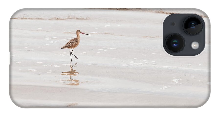 Animal iPhone 14 Case featuring the photograph Landscape Photography - Beach Scene by Amelia Pearn