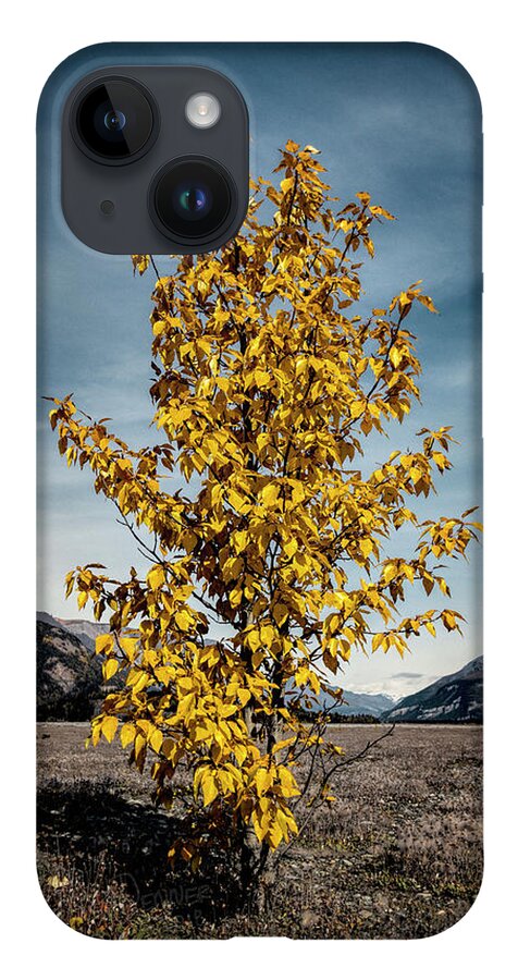 Alaska iPhone Case featuring the photograph Sign of the Times by Fred Denner