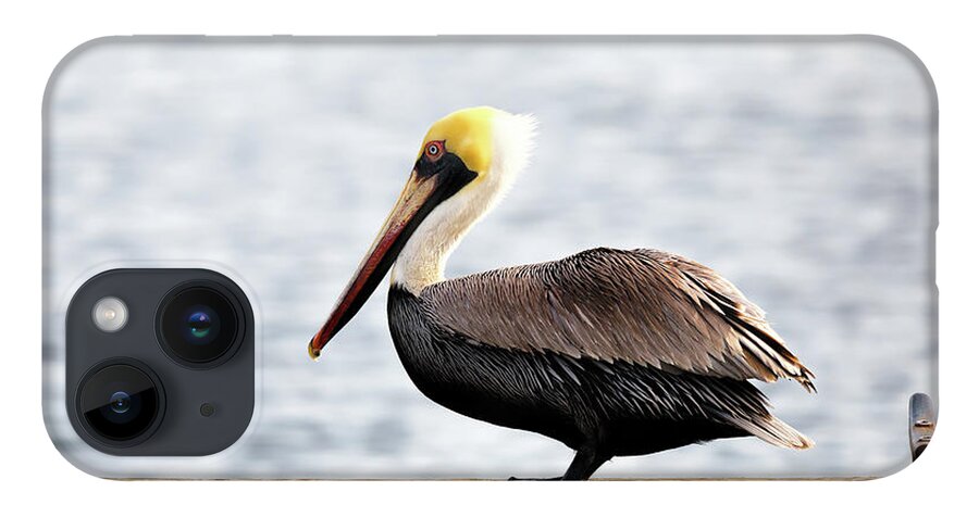 Pelican iPhone 14 Case featuring the photograph Sitting on the Dock of the Bay by Susan Rissi Tregoning