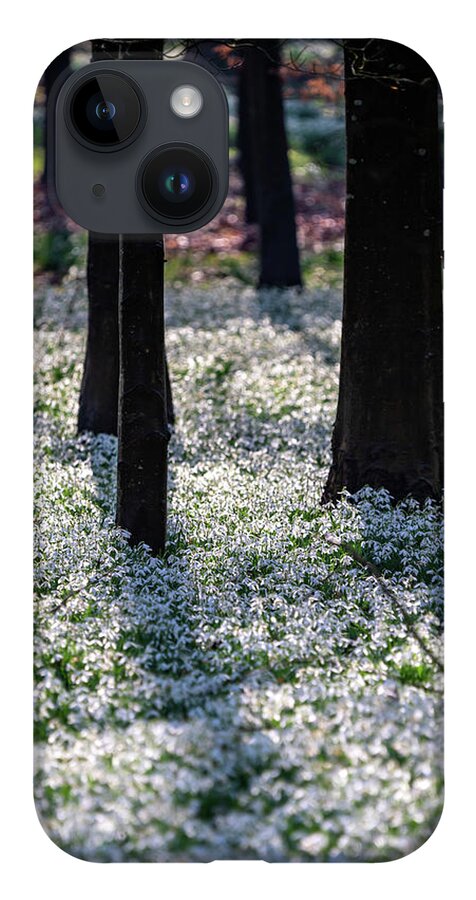 Spring iPhone 14 Case featuring the photograph Snowdrop Carpet by Framing Places