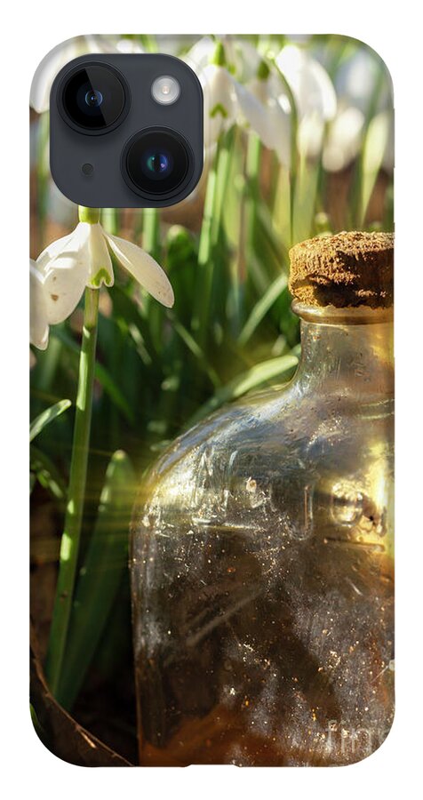 Snowdrops iPhone 14 Case featuring the photograph Snowdrop flowers and old glass jar with sunlight by Simon Bratt
