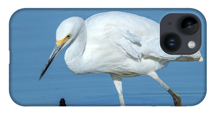 Nature iPhone 14 Case featuring the photograph Snowy Egret DMSB0180 by Gerry Gantt