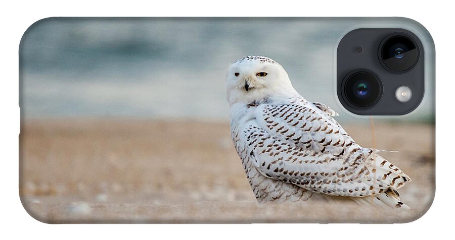 Owl iPhone 14 Case featuring the photograph Snowy Owl 5872 by Cathy Kovarik